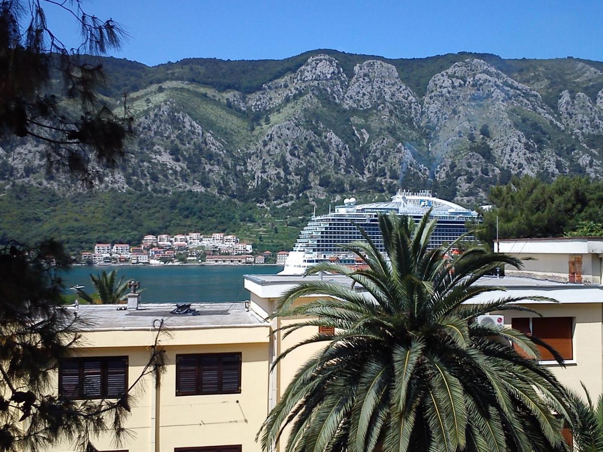 Apartment Oaza Kotor Eksteriør bilde