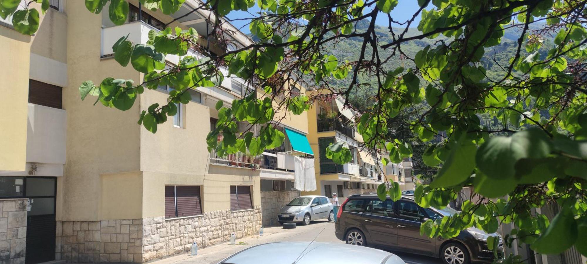 Apartment Oaza Kotor Eksteriør bilde